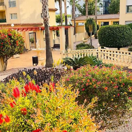 Beautiful 1 Bedroom Apartment In Albir El Albir Eksteriør bilde